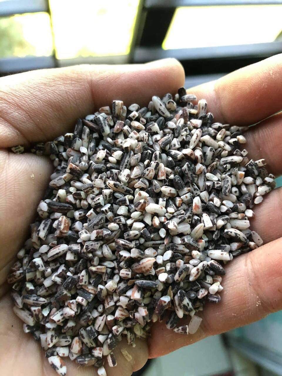 Binni Rice B(জুমের কালো বিন্নি চাল)