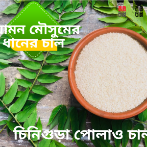 Chinigura Rice (চিনিগুড়া পোলাও চাল)